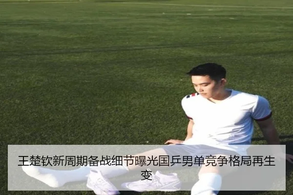 王楚钦新周期备战细节曝光国乒男单竞争格局再生变 - BAJIESPORTS